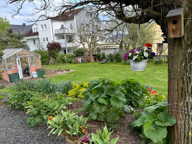 Anne's garden