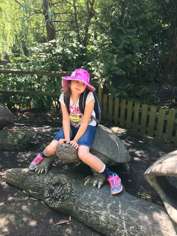 see the turtle of enormous girth
