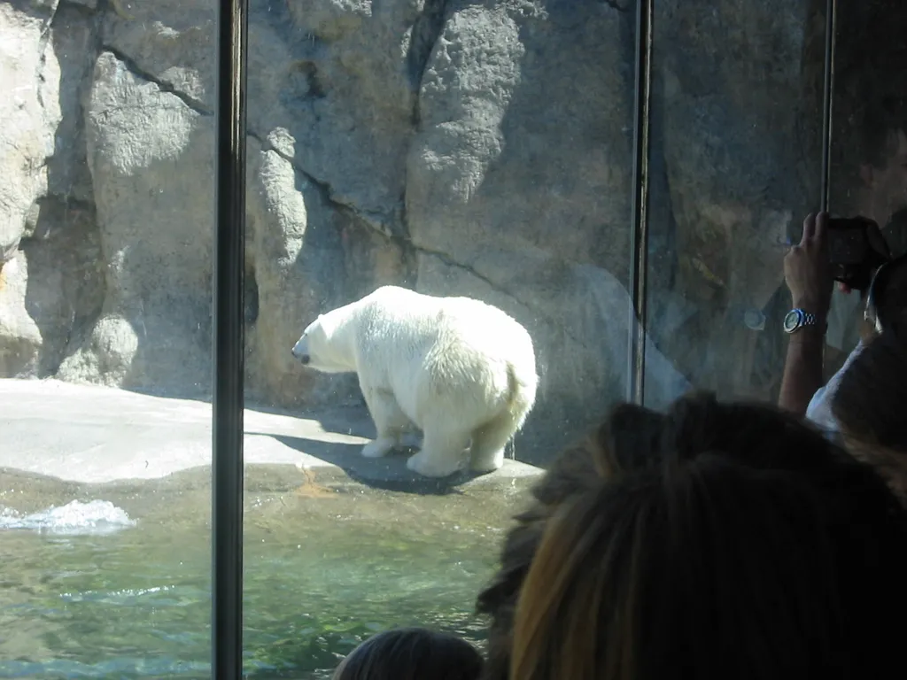 oscon 2003, polar_bear-4