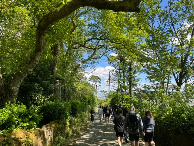 Sintra, headed to the Moorish Castle