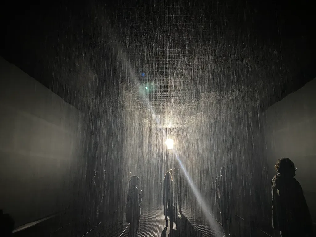 the rain room