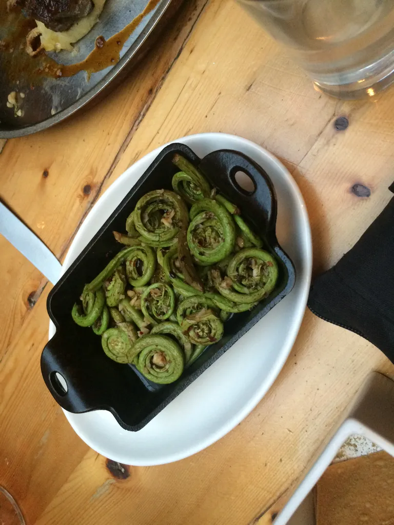 fiddleferns!
