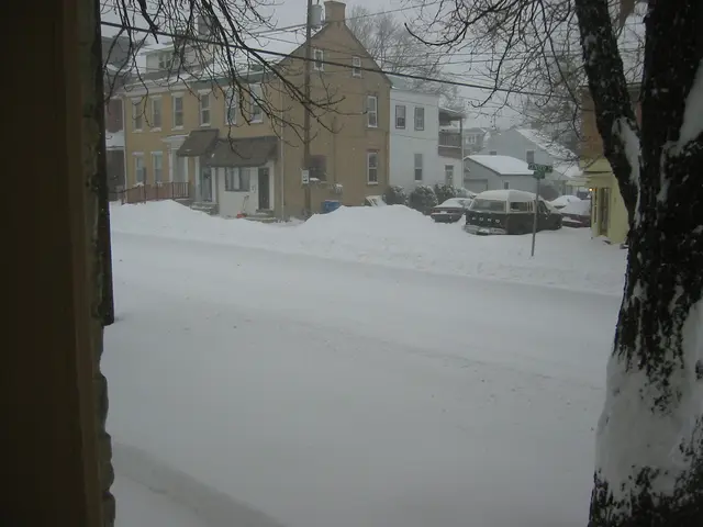 snowstorm, 2003-02, Center and Garrison