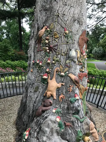 Fairy Tree