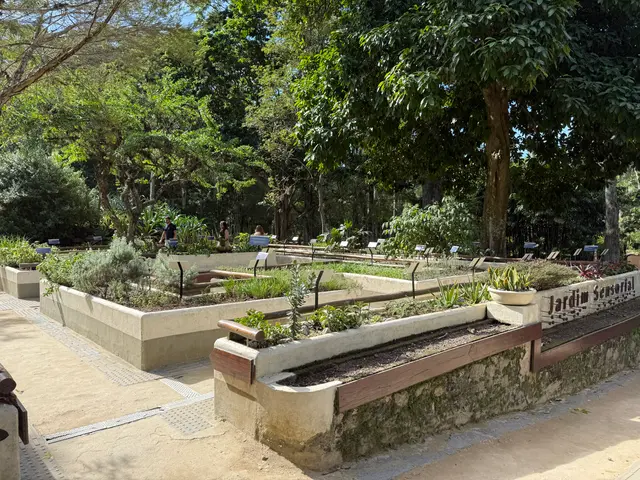 the Botanical Garden in Rio