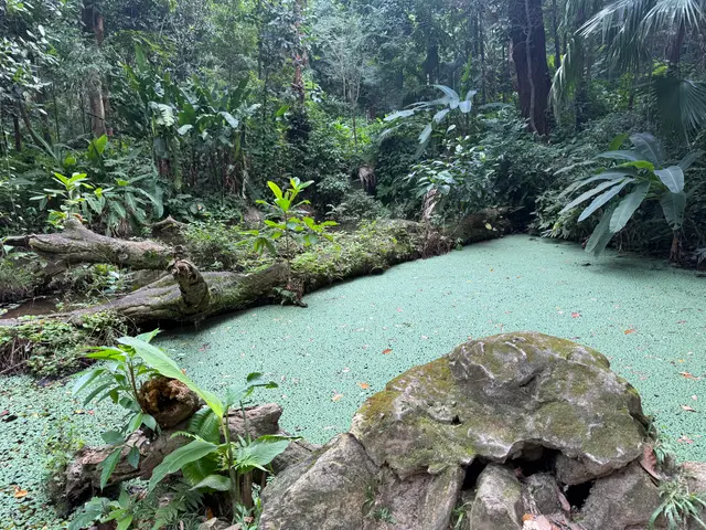 Parque Lage