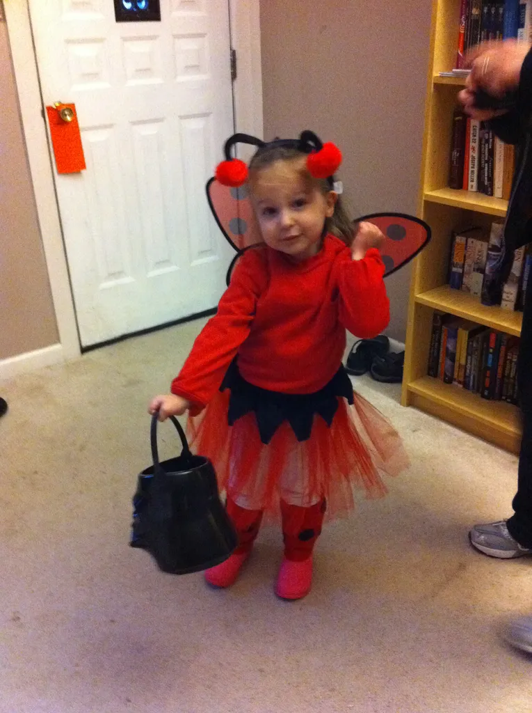 Ladybug Girl