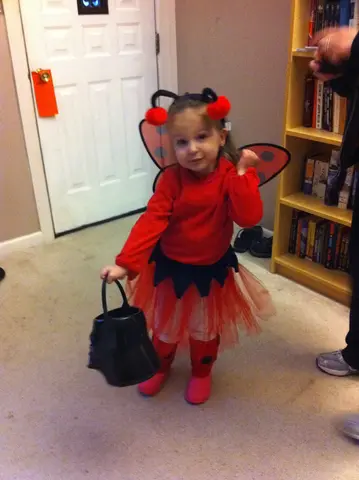Ladybug Girl