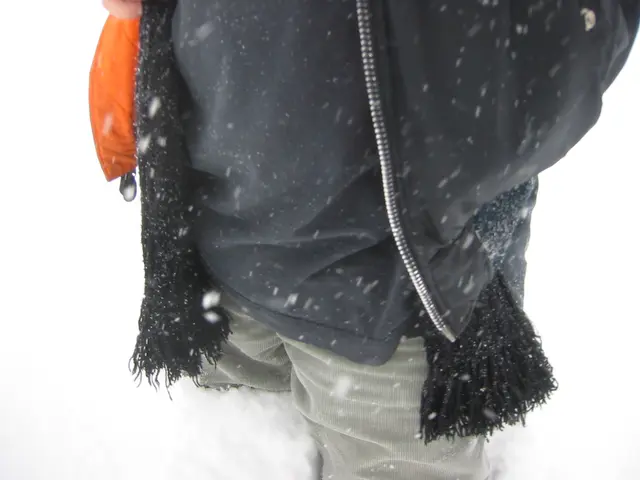 snowstorm, 2003-02, Deep Snow