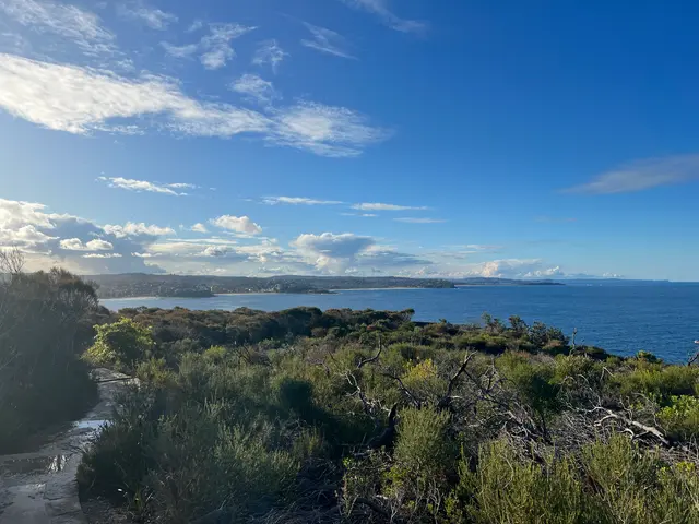 bushwalk