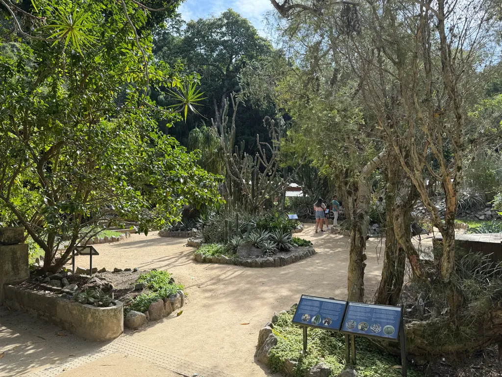 the Botanical Garden in Rio
