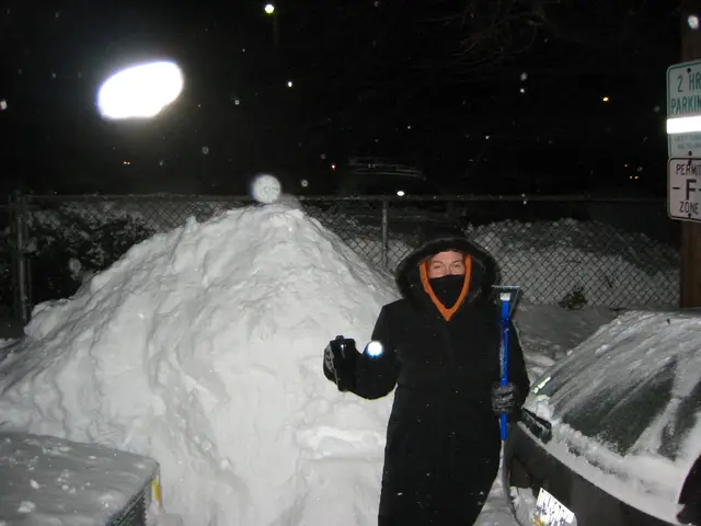 snowstorm, 2003-02, Gloria