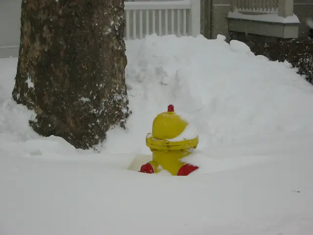 snowstorm, 2003-02, Fire Hydrant
