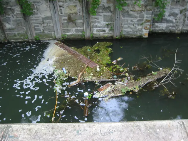 the towpath, canal lock debris