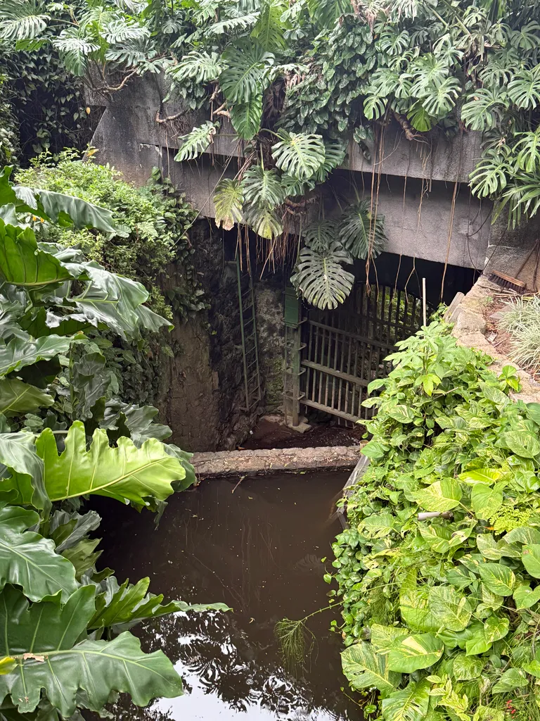 gallery near Corcovado