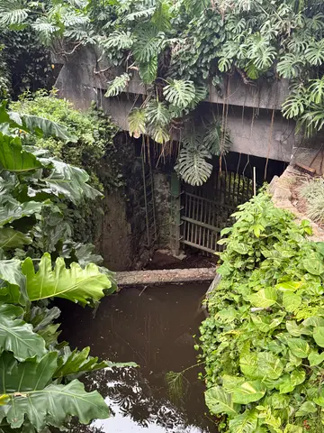 gallery near Corcovado