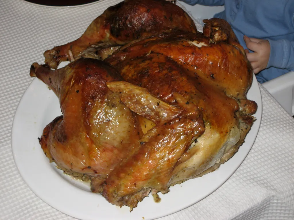 the turkey