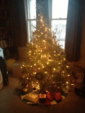 presents and tree!