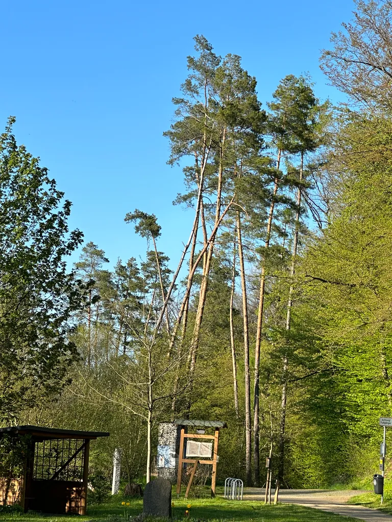 park between Wetzlar and Braunfels
