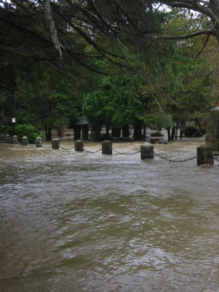 the flood, 2004, img_1863
