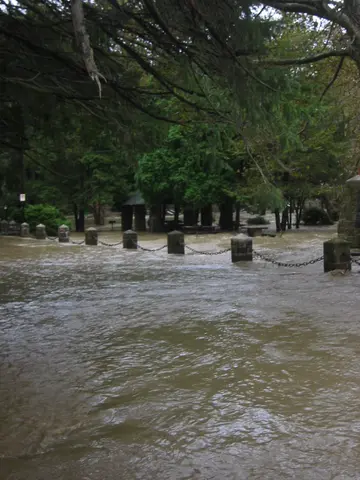 the flood, 2004, img_1863