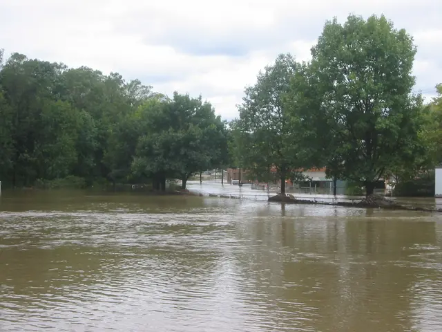 the flood, 2004, img_1853