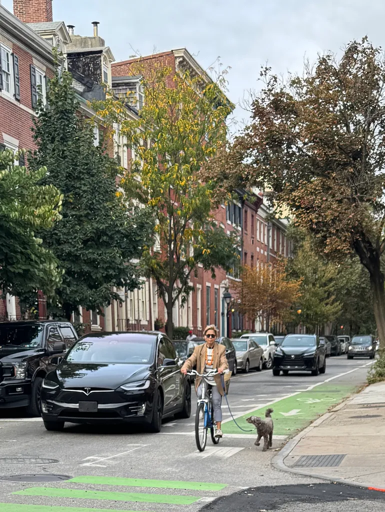 dog and cycle
