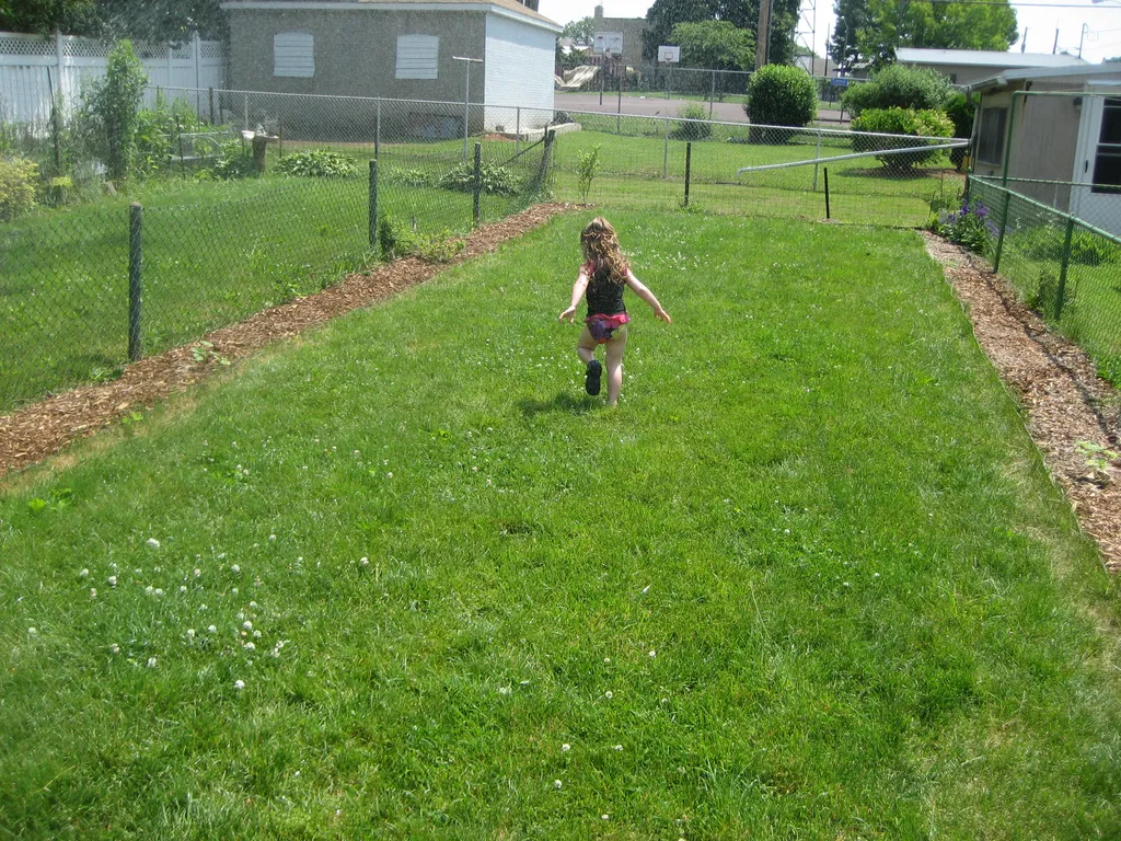 martha versus the hose