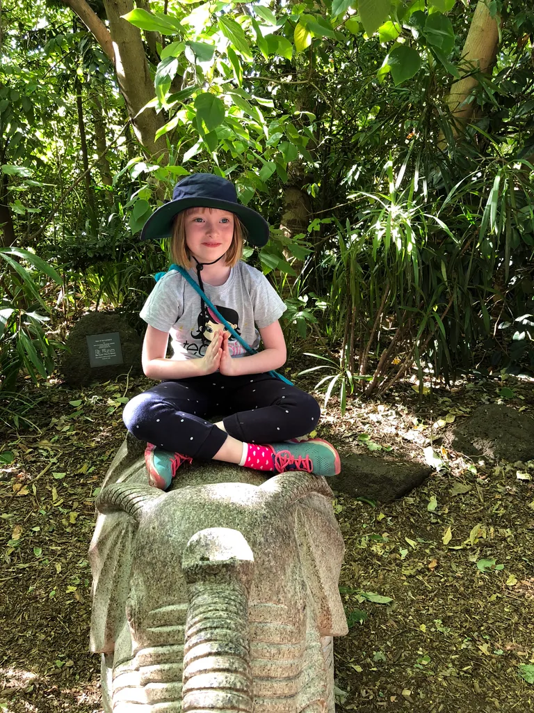 zoo time