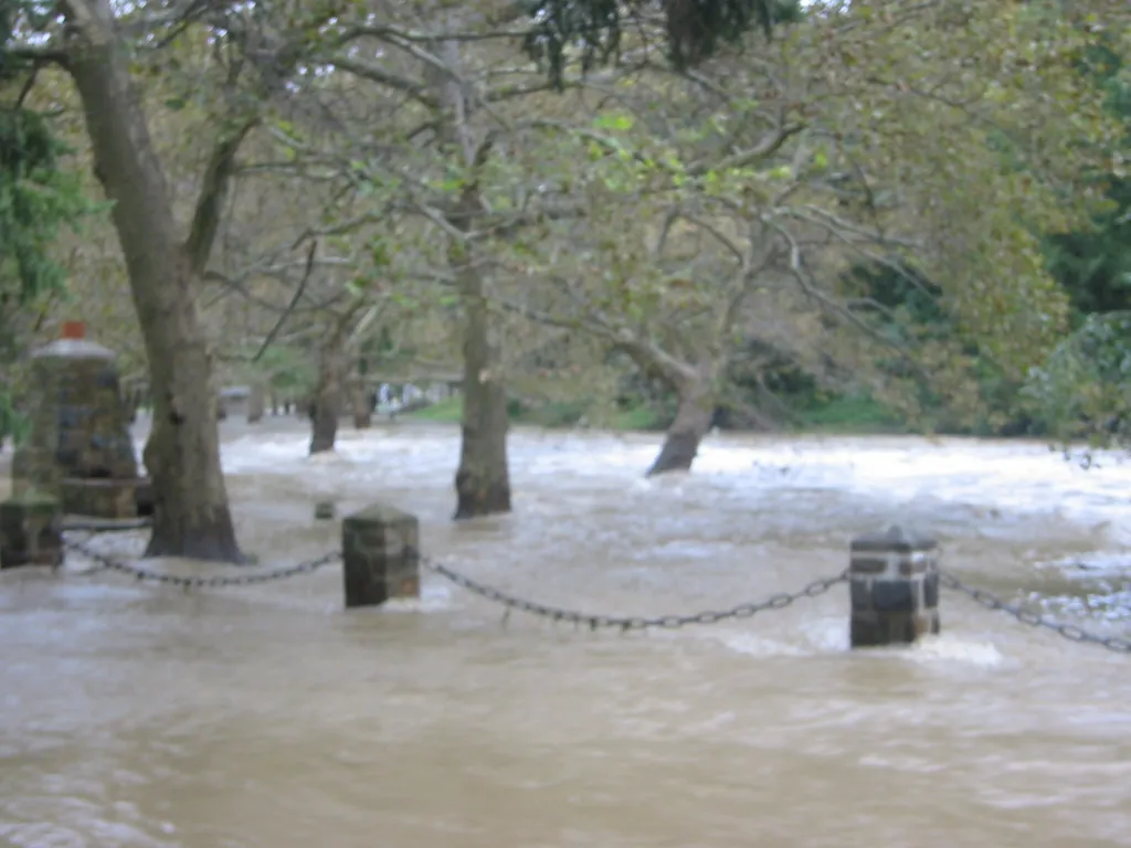 the flood, 2004, img_1862