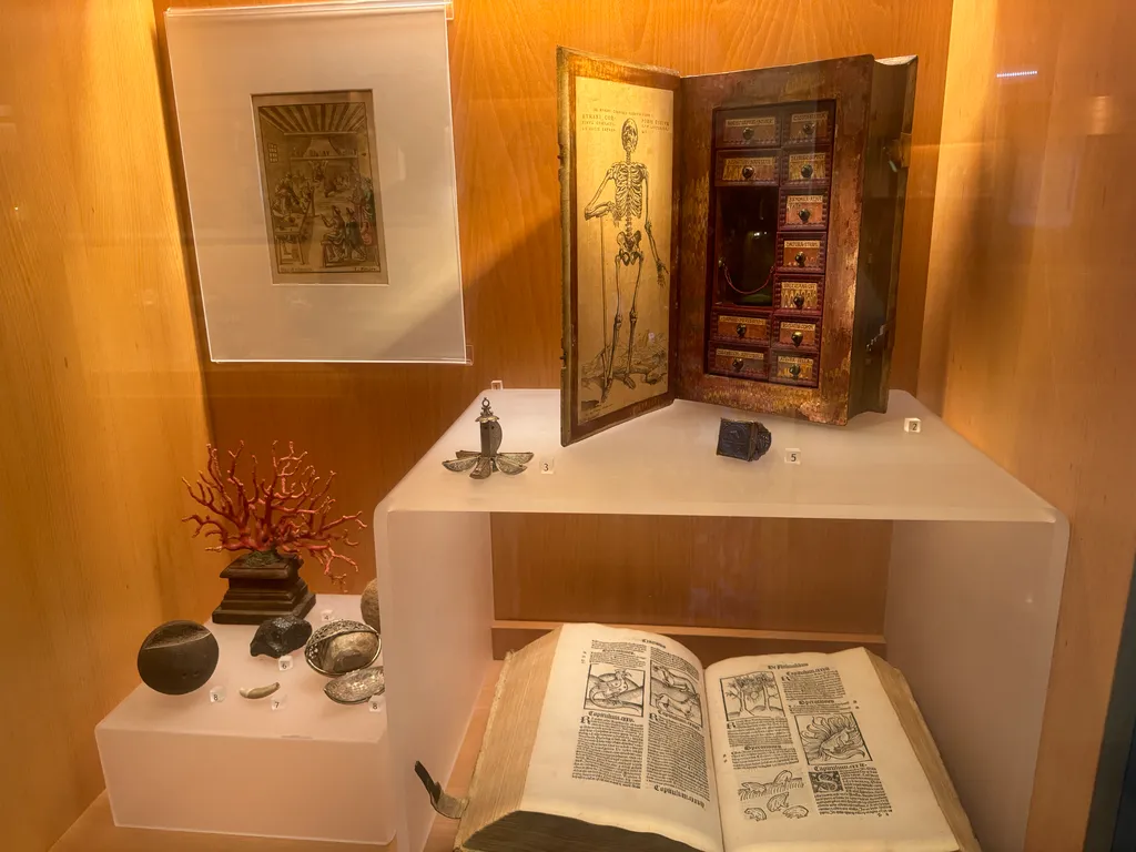 the pharmacy museum