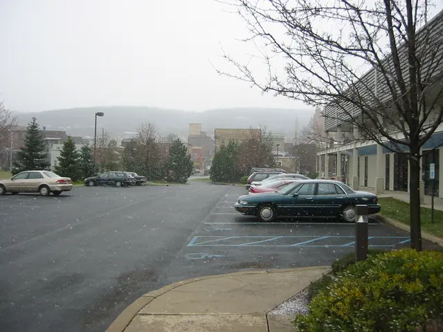snowstorm, 2003-12, img_0979