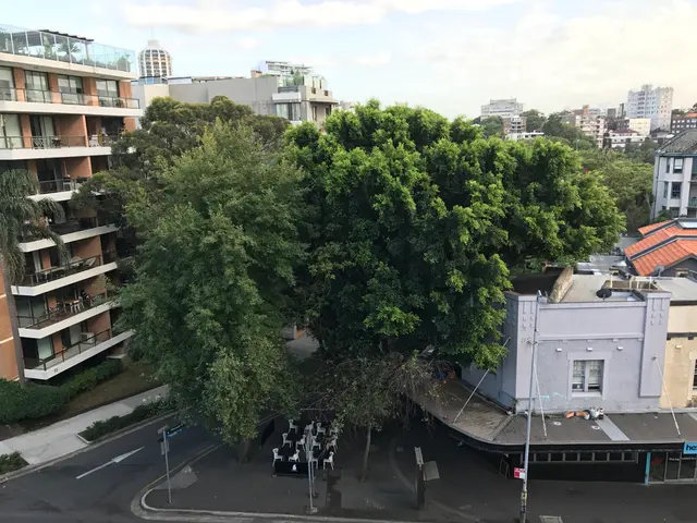 view from Sydney apartment