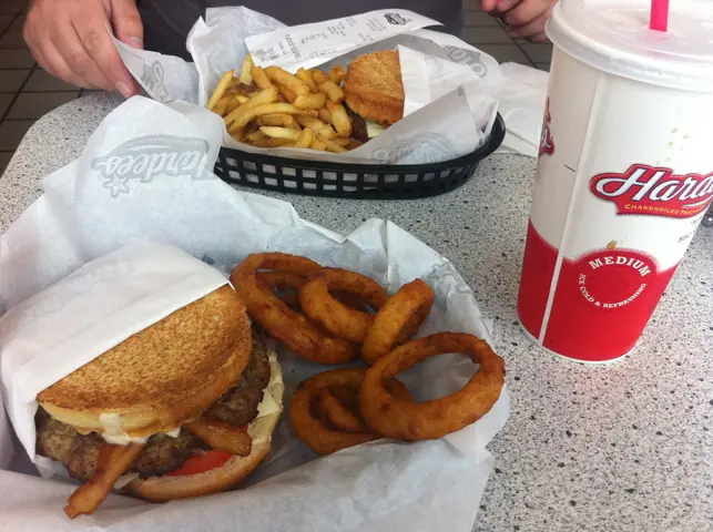 road trip lunch at Hardees