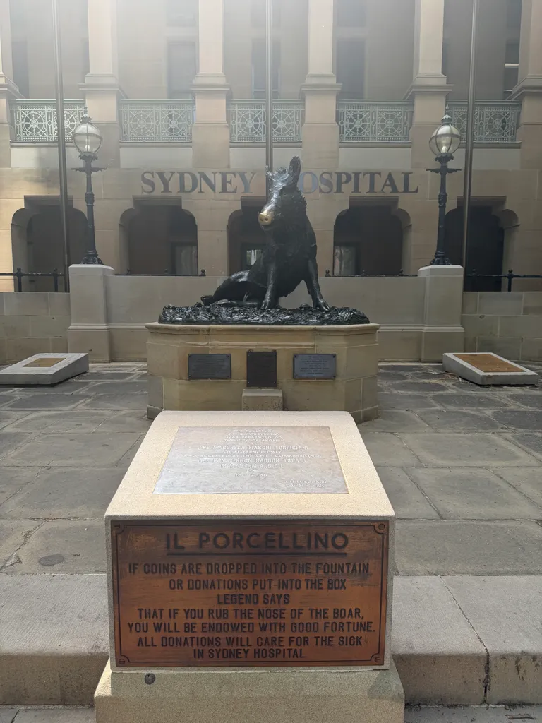 Sydney hospital pig
