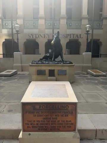 Sydney hospital pig