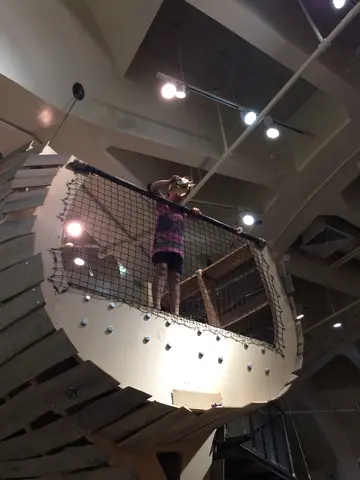 bird launch!