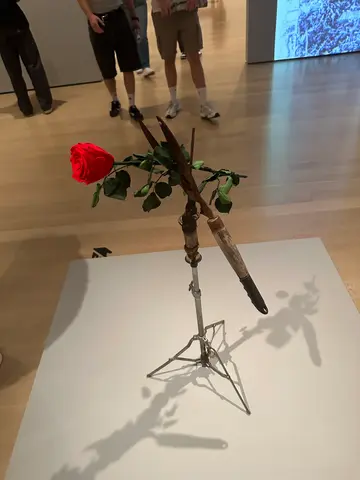 seen at MoMA