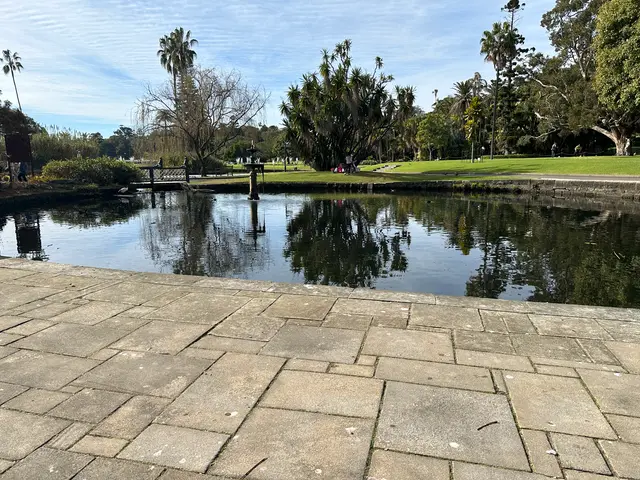 Sydney botanical gardens