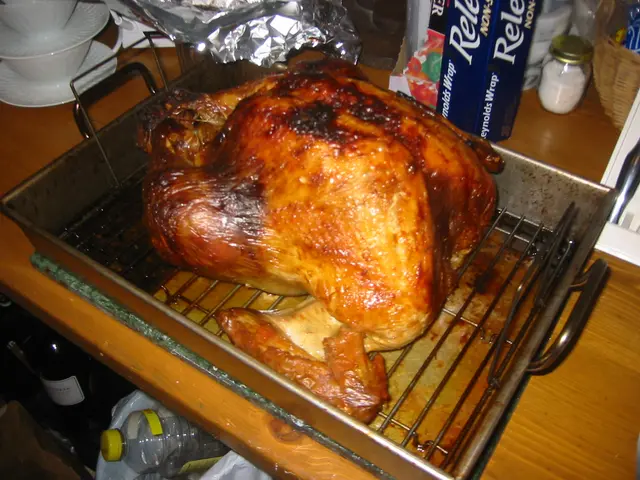 thanksgiving 2004, img_0029
