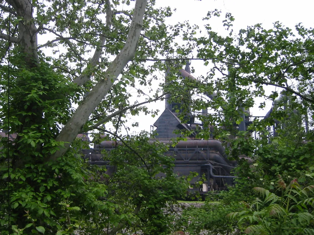 the steel, seen through the woods