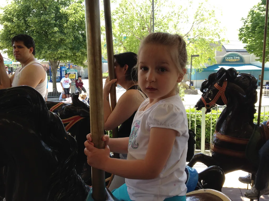 on the antique carousel