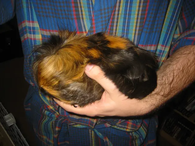 snoozer, march 2006