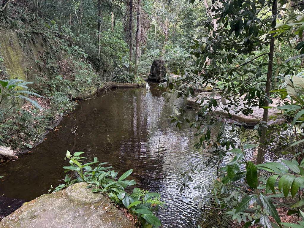 Parque Lage