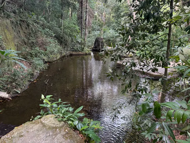 Parque Lage