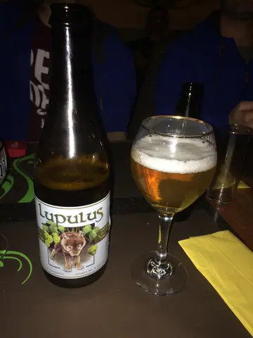 big bottle, good beer!