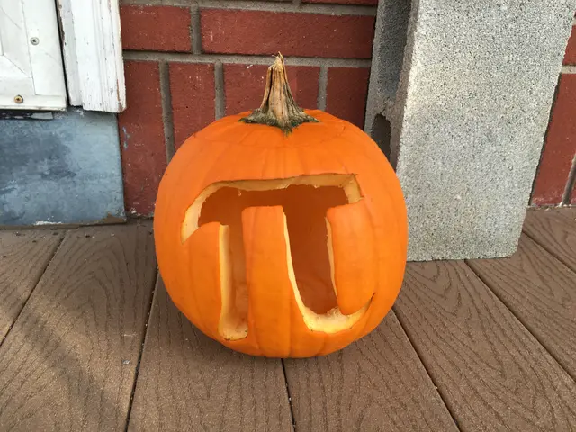 pumpkin pi