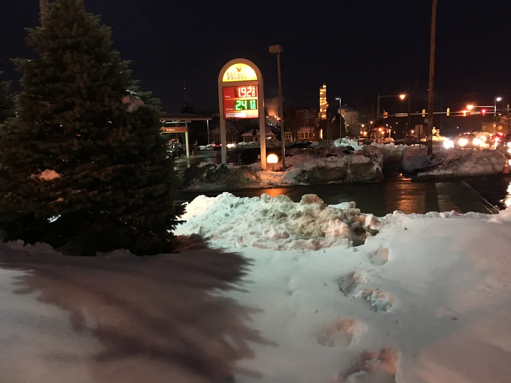 January 2016 snowstorm