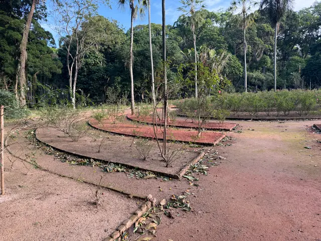 the Botanical Garden in Rio