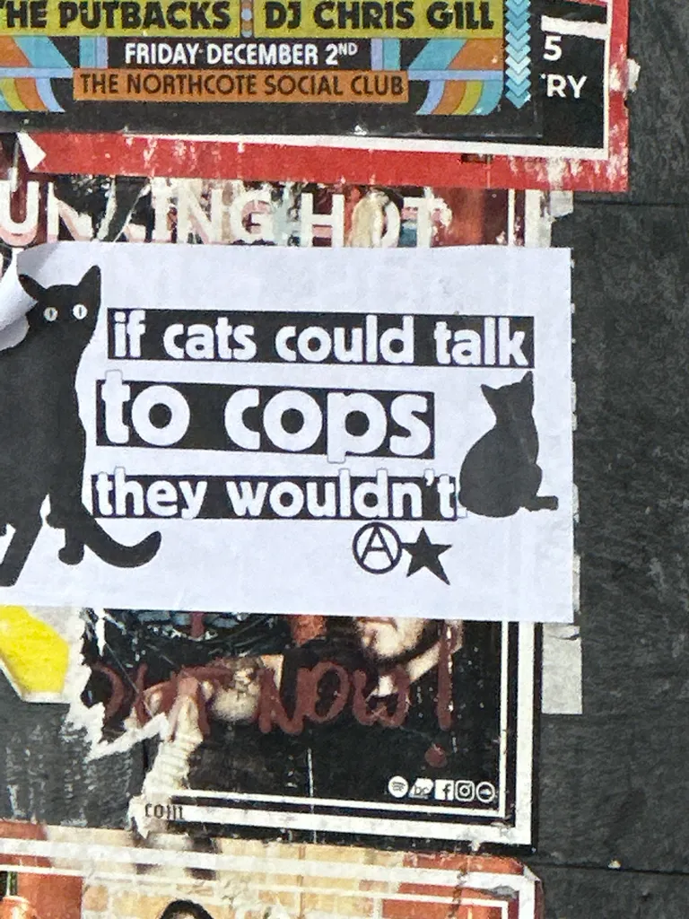 if cats could talk to cops…